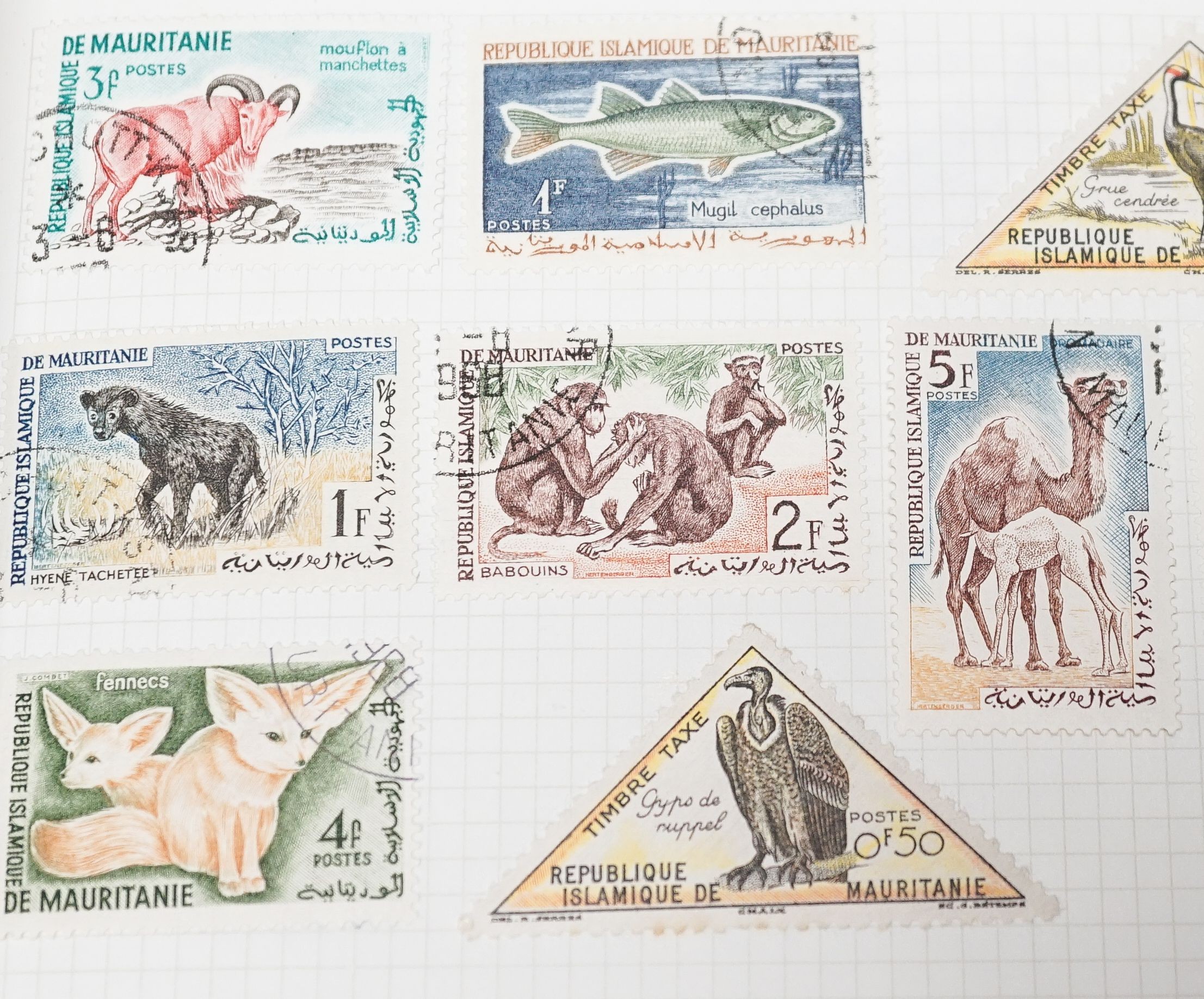 Four albums of various mounted All World stamps